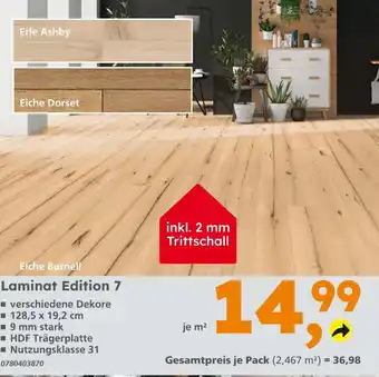 Globus Baumarkt Laminat edition 7 Angebot