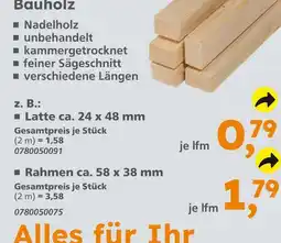 Globus Baumarkt Latte ca. 24 x 48 mm Angebot