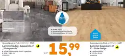 Globus Baumarkt Laminatboden aquaprotect visiogrande Angebot