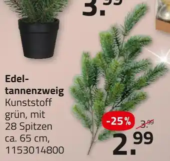 ROLLER Edeltannenzweig Angebot