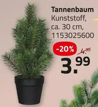 ROLLER Tannenbaum Angebot