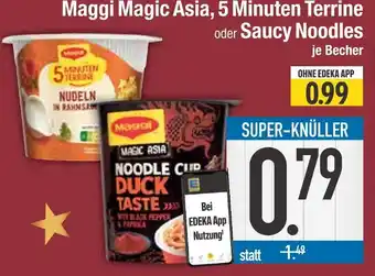 Edeka Maggi magic asia, 5 minuten terrine oder saucy noodles Angebot