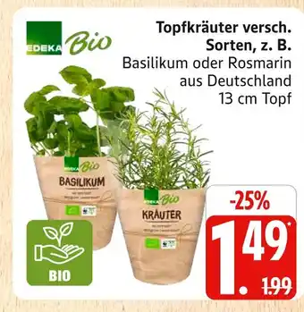 Marktkauf Edeka bio basilikum Angebot