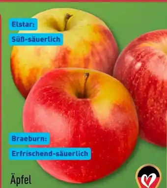 Aldi Nord Äpfel Gala Angebot