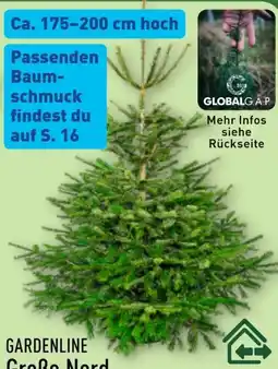 Aldi Nord Gardenline Nordmanntanne Angebot
