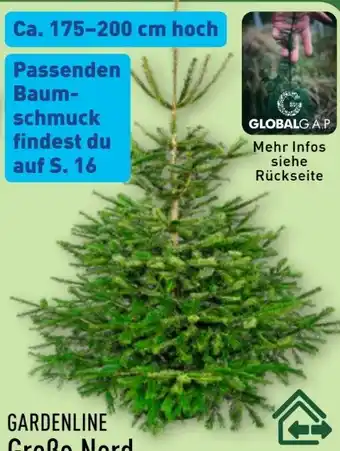 Aldi Nord Gardenline Nordmanntanne Angebot