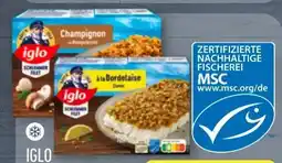 Aldi Nord Iglo Schlemmerfilet Angebot