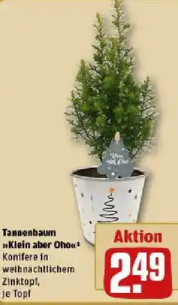 REWE Tannenbaum Klein aber Oho Angebot