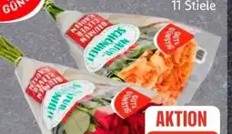 Edeka Gut & Günstig Moosrosen Angebot
