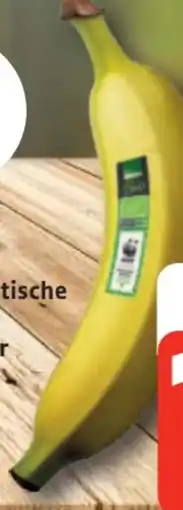 Edeka Edeka Bio Bio-Bananen Angebot