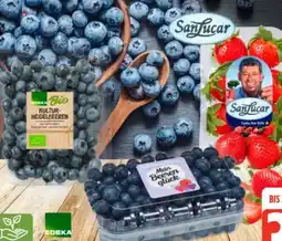 Edeka SanLucar Erdbeeren Angebot