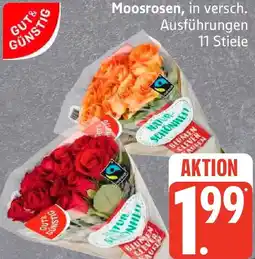 Edeka GUT & GÜNSTIG Moosrosen Angebot
