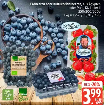 Edeka SanLucar Erdbeeren oder Kulturheidelbeeren Angebot
