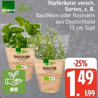Edeka Edeka Bio Topfkräuter Angebot