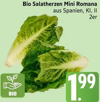 Edeka Bio Salatherzen Mini Romana Angebot