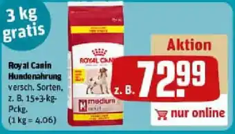 REWE Royal Canin Hundenahrung Angebot