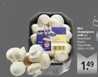 Marktkauf Mini Champignons Weiß Angebot