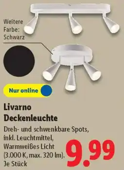 Lidl Livarno Deckenleuchte Angebot