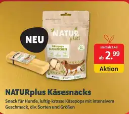 Das Futterhaus NATURplus Käsesnacks Angebot