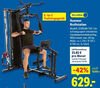 Lidl Hammer Kraftstation Angebot