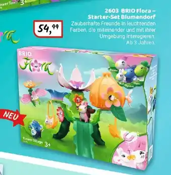 Idee+Spiel BRIO Flora - Starter-Set Blumendorf 2603 Angebot