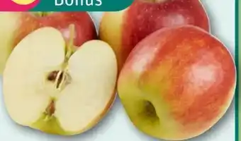 REWE Rewe Regional Tafeläpfel Angebot