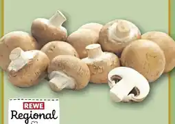 REWE Rewe Regional Braune Champignons Angebot
