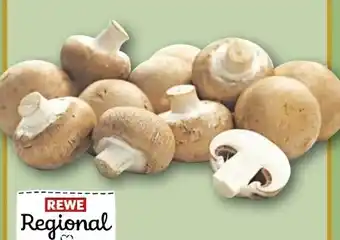 REWE Rewe Regional Braune Champignons Angebot