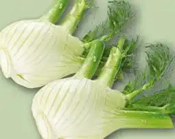REWE Fenchel Angebot
