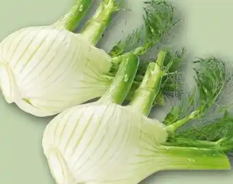 REWE Fenchel Angebot