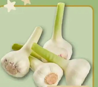 REWE Knoblauch Angebot