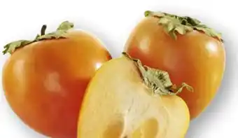 Scheck-in-Center Kaki Angebot