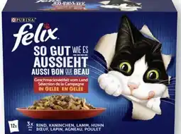 Scheck-in-Center Purina Felix Katzennahrung Angebot
