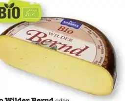 Scheck-in-Center Söbbeke Bio Wilder Bernd Angebot