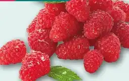 REWE Himbeeren Angebot