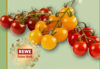 REWE Rewe Feine Welt Mini Cherry Rispentomaten Colore Angebot