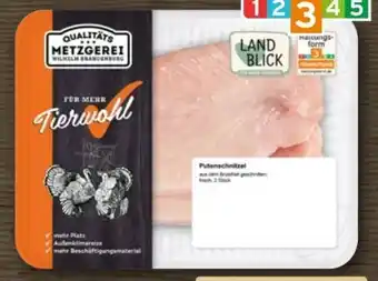 REWE Metzgerei Wilhelm Brandenburg Puten-Schnitzel Angebot