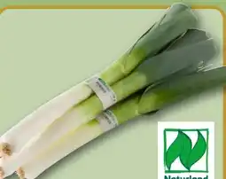 REWE Rewe Bio Porree Angebot