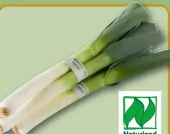 REWE Rewe Bio Porree Angebot