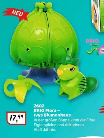 Idee+Spiel BRIO Flora - Ivys Blumenhaus 2602 Angebot