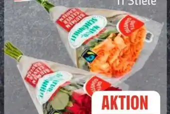 Edeka Frischemarkt Gut & Günstig Moosrosen Angebot