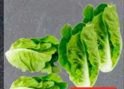 Edeka Frischemarkt Romanasalatherzen Angebot