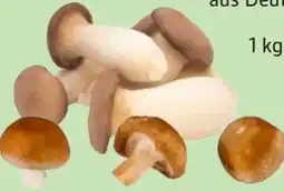 Edeka Edeka Bio Shiitake Pilze Angebot