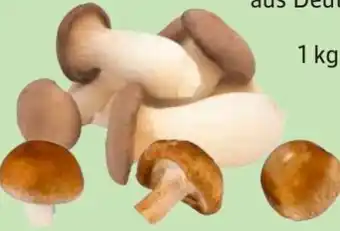 Edeka Edeka Bio Shiitake Pilze Angebot