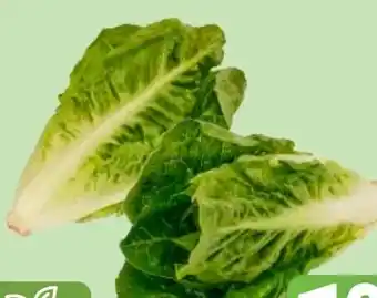 Edeka Bio Mini Romana Salatherzen Angebot