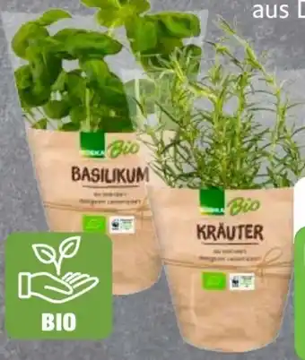 Edeka Edeka Bio Bio-Topfkräuter Angebot