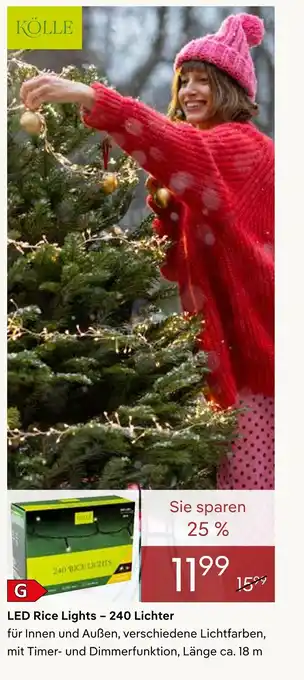 Pflanzen Kölle Led rice lights – 240 lichter Angebot