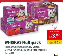 Das Futterhaus Whiskas multipack Angebot