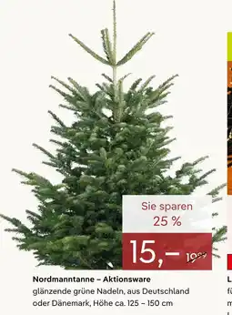 Pflanzen Kölle Nordmanntanne – aktionsware Angebot