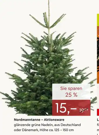 Pflanzen Kölle Nordmanntanne – aktionsware Angebot